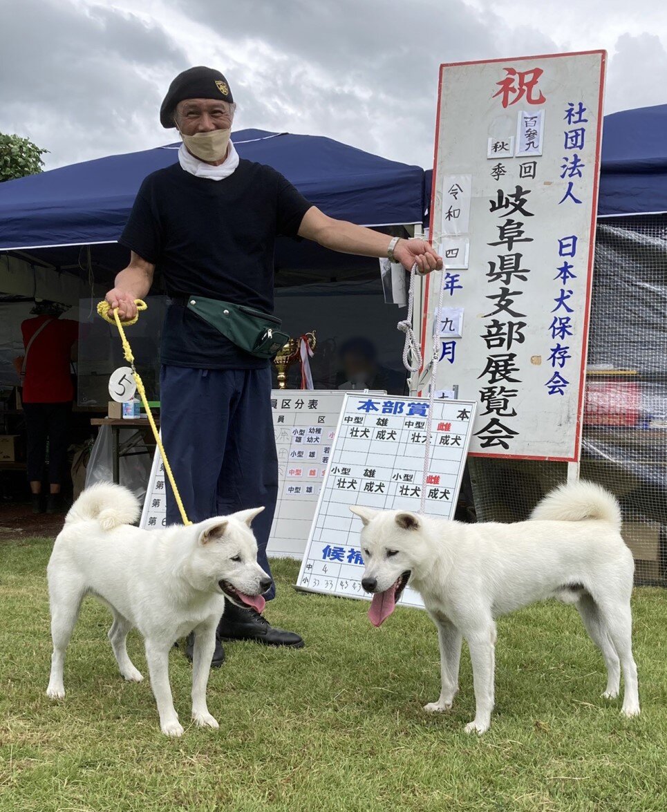 日本犬写真集 第2巻 第4巻 第5巻 第6巻