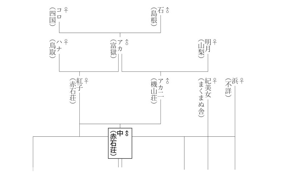 相関図