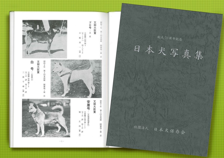 販売物 公益社団法人 日本犬保存会 販売物 公益社団法人 日本犬保存会