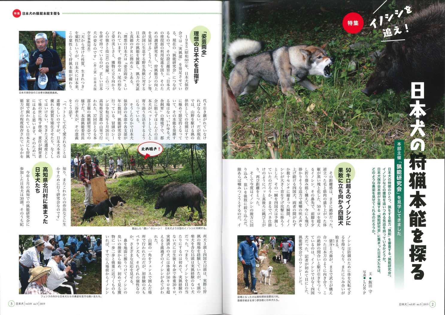 入会 申請書 公益社団法人 日本犬保存会